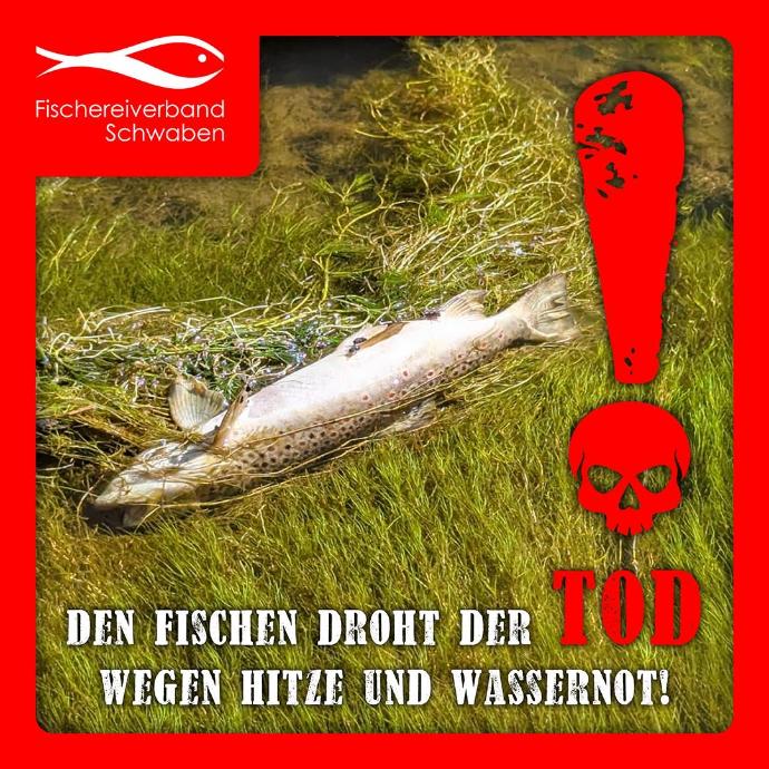 newsimg
